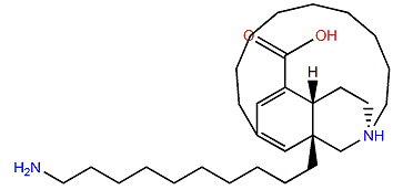 Lissodendoric acid A